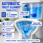 Imported Toilet Bowl Cleaner Tablets (Pack Of 10) (HIGHLY RECOMMENDED)